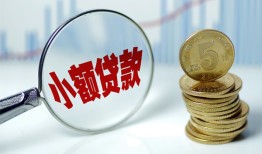 成都14哪里可以小额贷款-成都14哪里有民间借贷-成都14民间短期私借借款